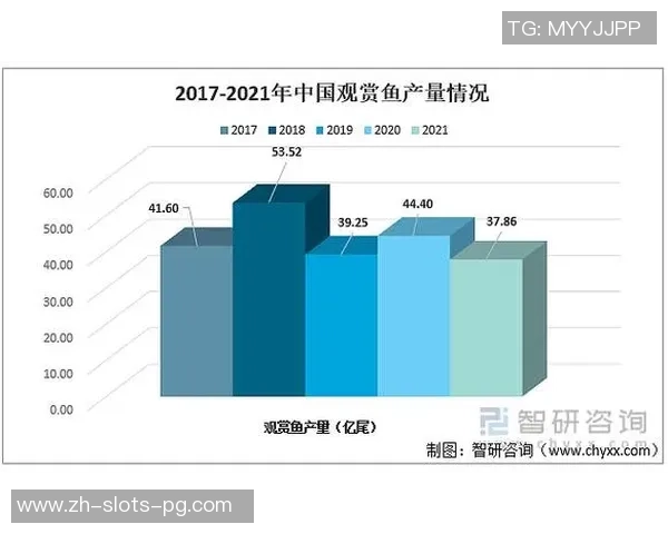 收购国外足球俱乐部的战略分析与市场前景探讨